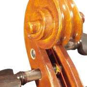 Viola 01