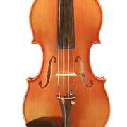 Violine Pauli