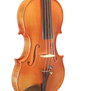 Violine Pauli