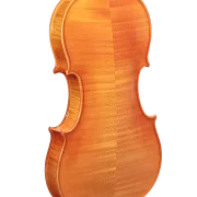 Violine Pauli