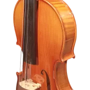 Violine Pauli