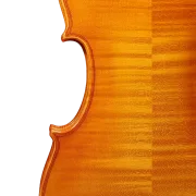 Violine Pauli