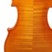 Violine Pauli