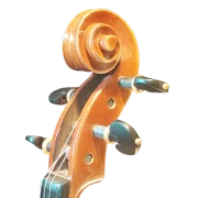 Violine Pauli