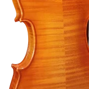 Violine Pauli