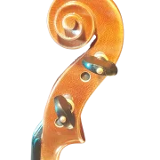 Violine Pauli