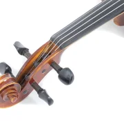 Violine Allegro 4/4