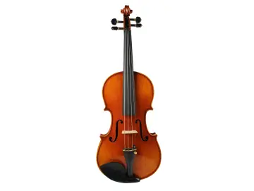 Violine Frascati