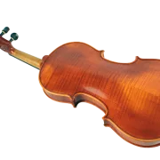 Violine Frascati