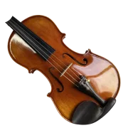 Violine Funny Sets