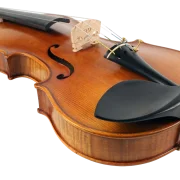 Violine Golden Musik Albano