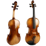 Violine Golden Musik Lebensfreude