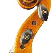 Violine Guaneri Il Canone