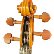 Violine Il Canone ganzer Boden