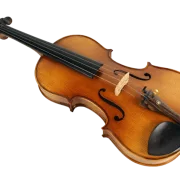 Violine Lebensfreude Sets
