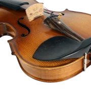Violine Lebensfreude Sets