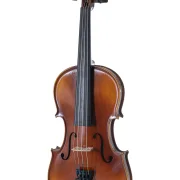 Violine Sets  4/4 Allegro