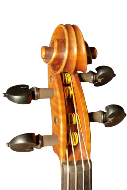 Violine Einzelstück 01
