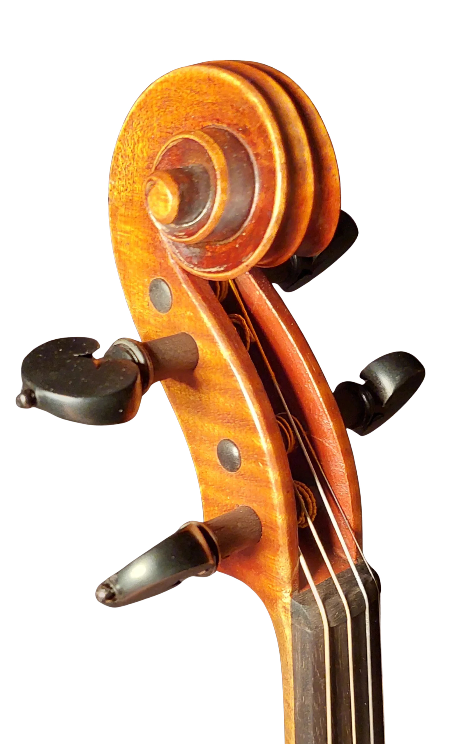 Violine Einzelstück 01