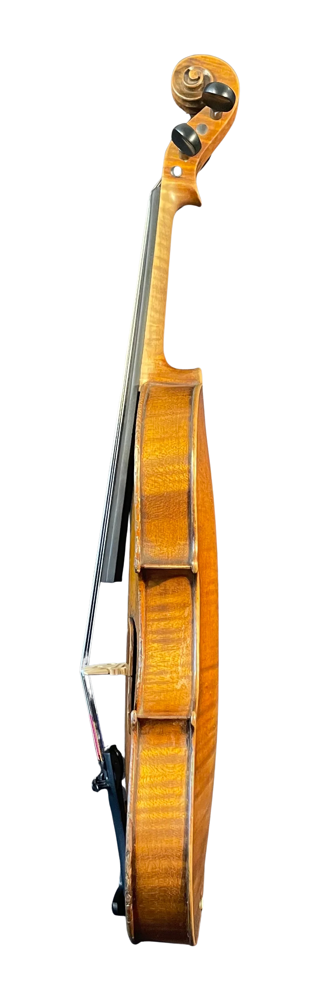 Violine alt Sachsen