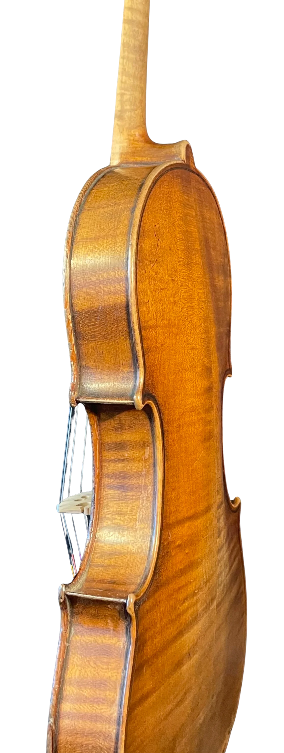 Violine alt Sachsen