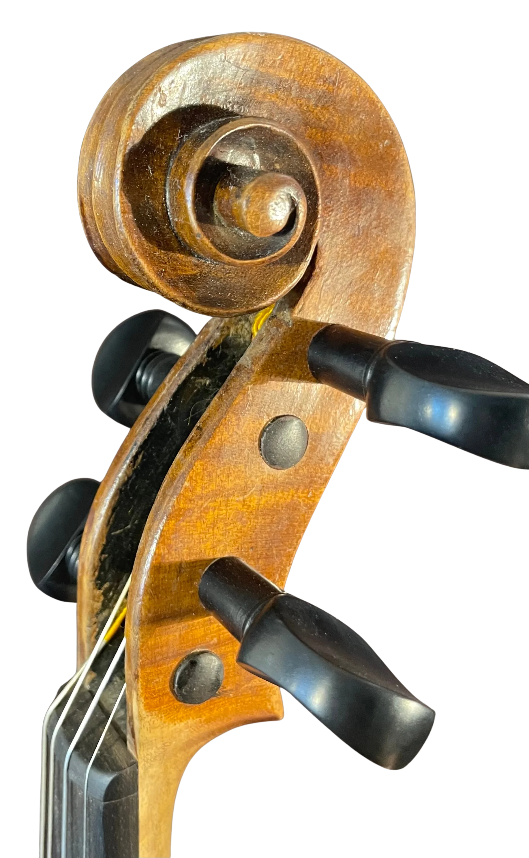 Violine alt Sachsen