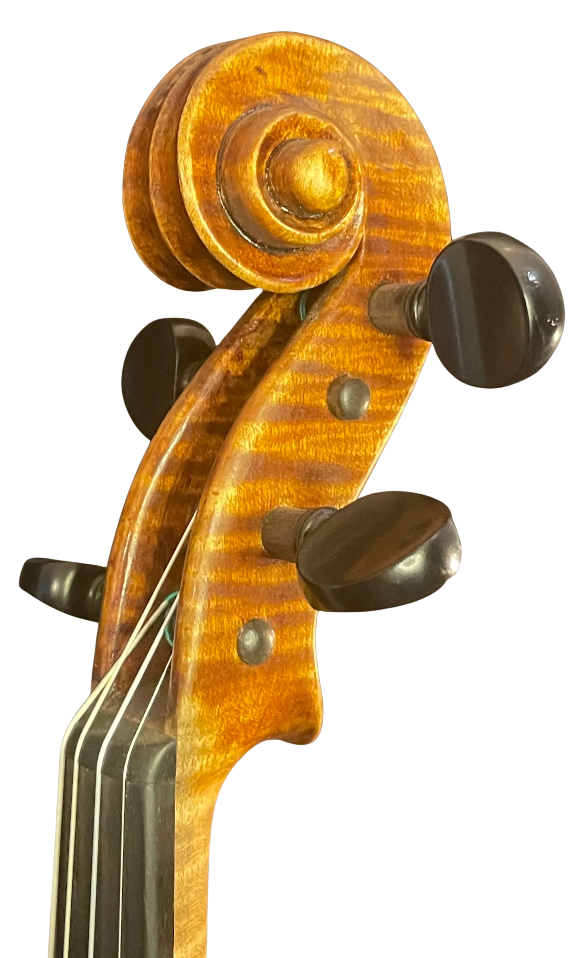 Violine Handarbeit aus Deutschlan