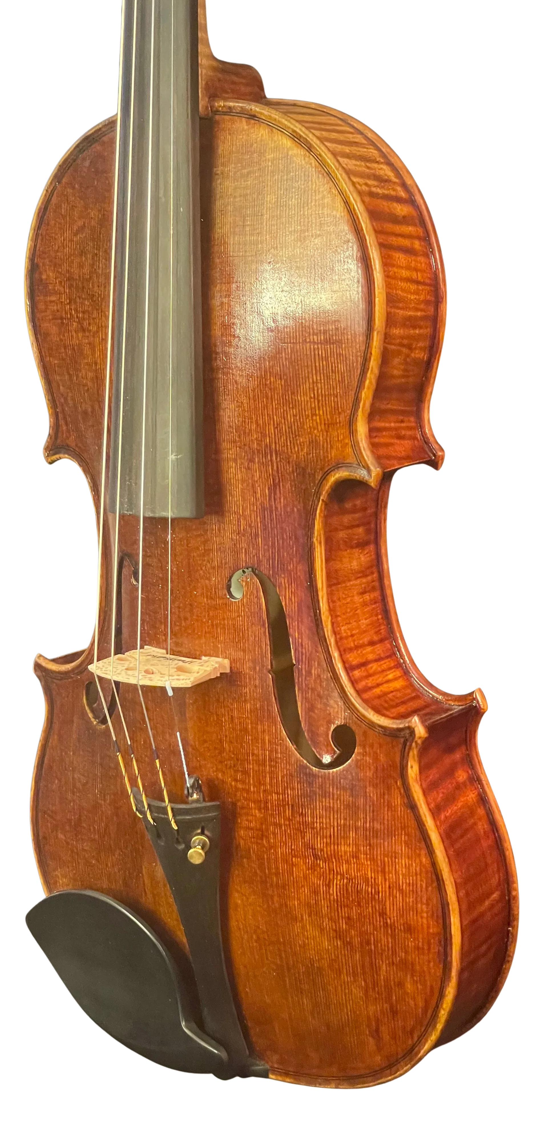 Violine Handarbeit aus Deutschlan
