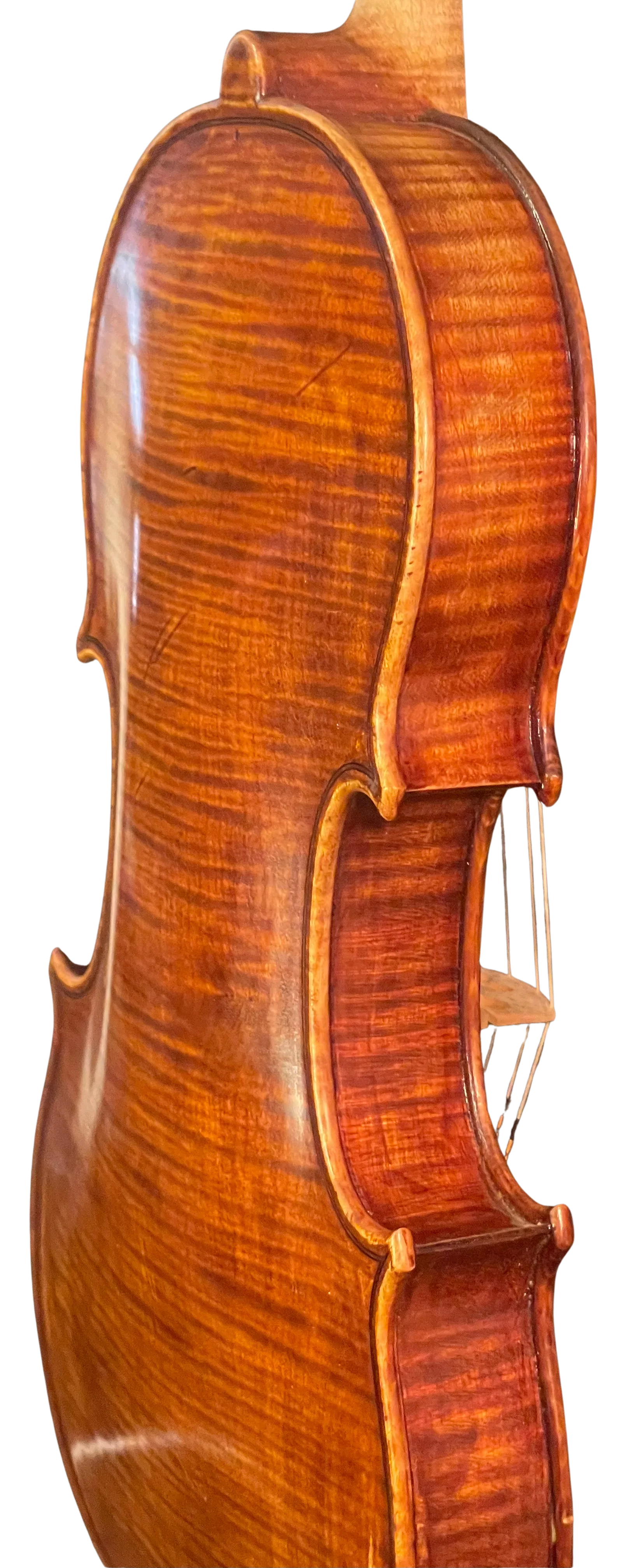 Violine Handarbeit aus Deutschlan