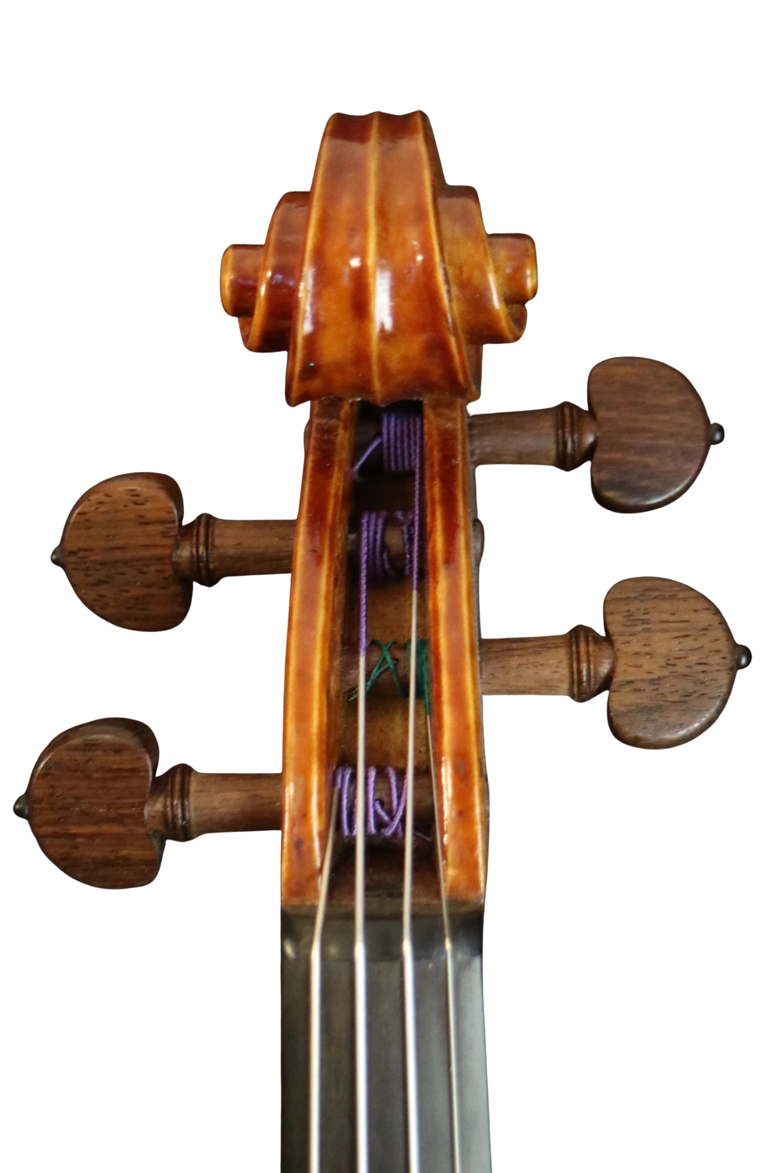 Violine Handarbeit aus Deutschlan