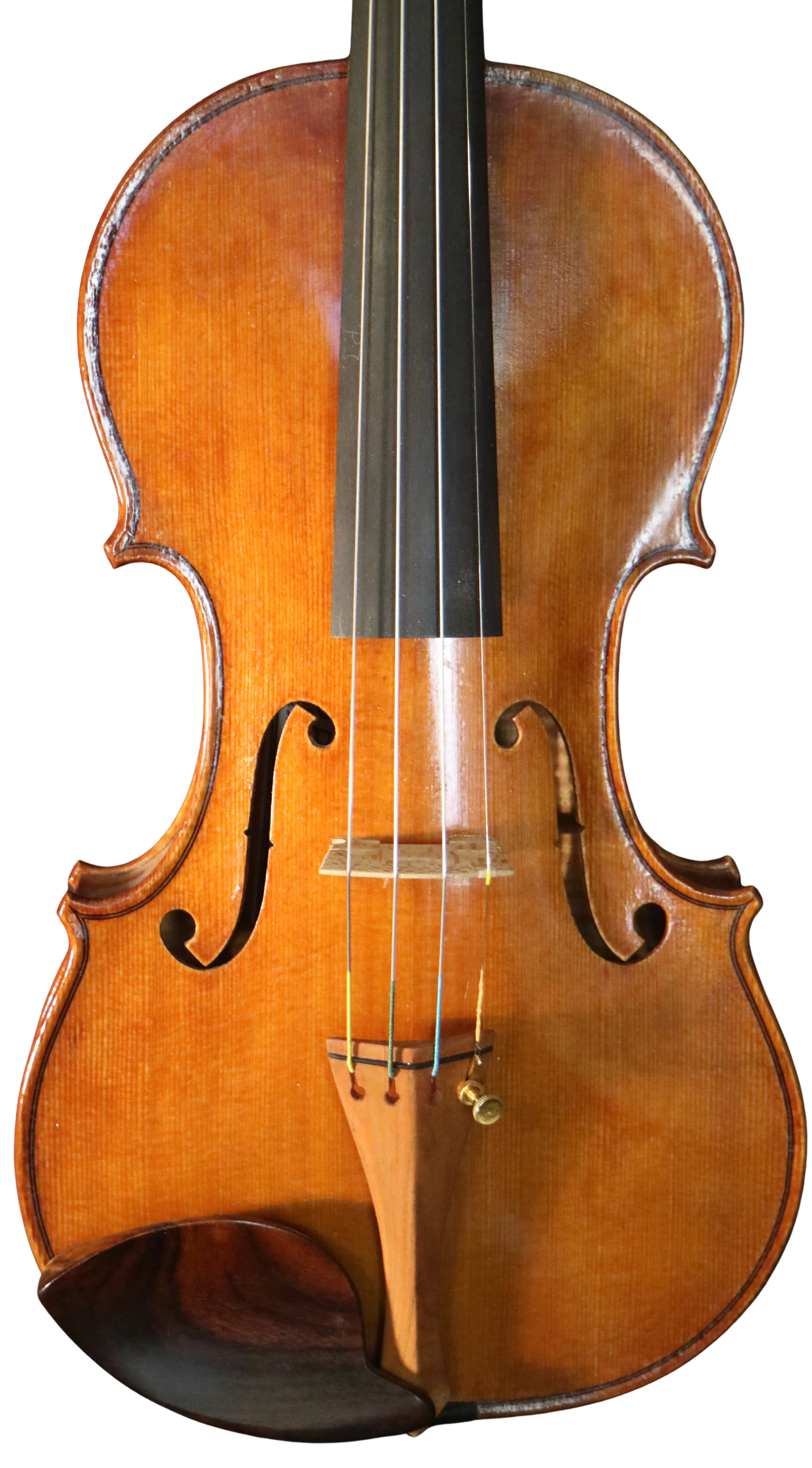 Violine Handarbeit aus Deutschlan