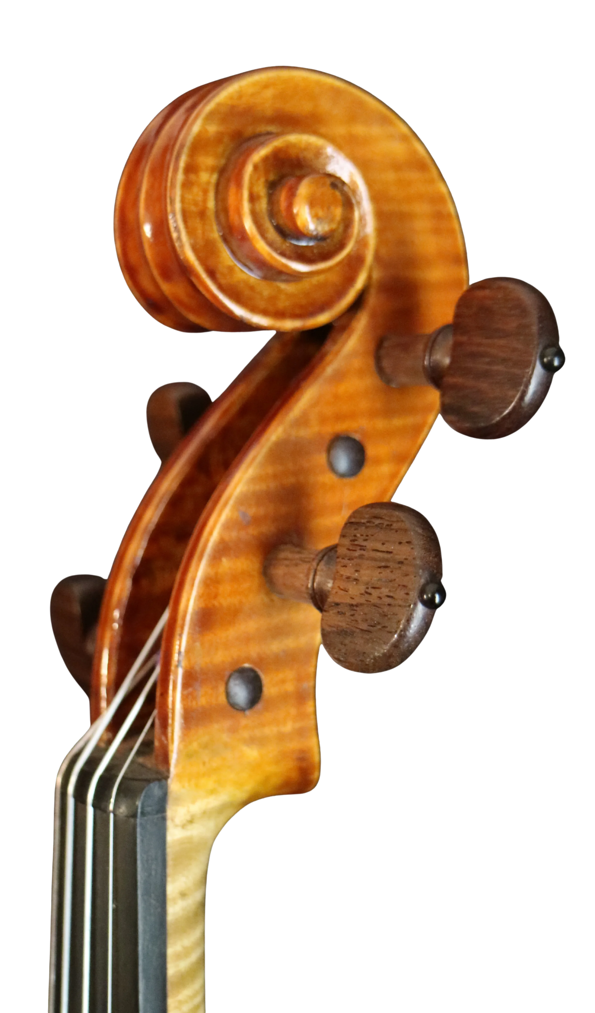 Violine Handarbeit aus Deutschlan