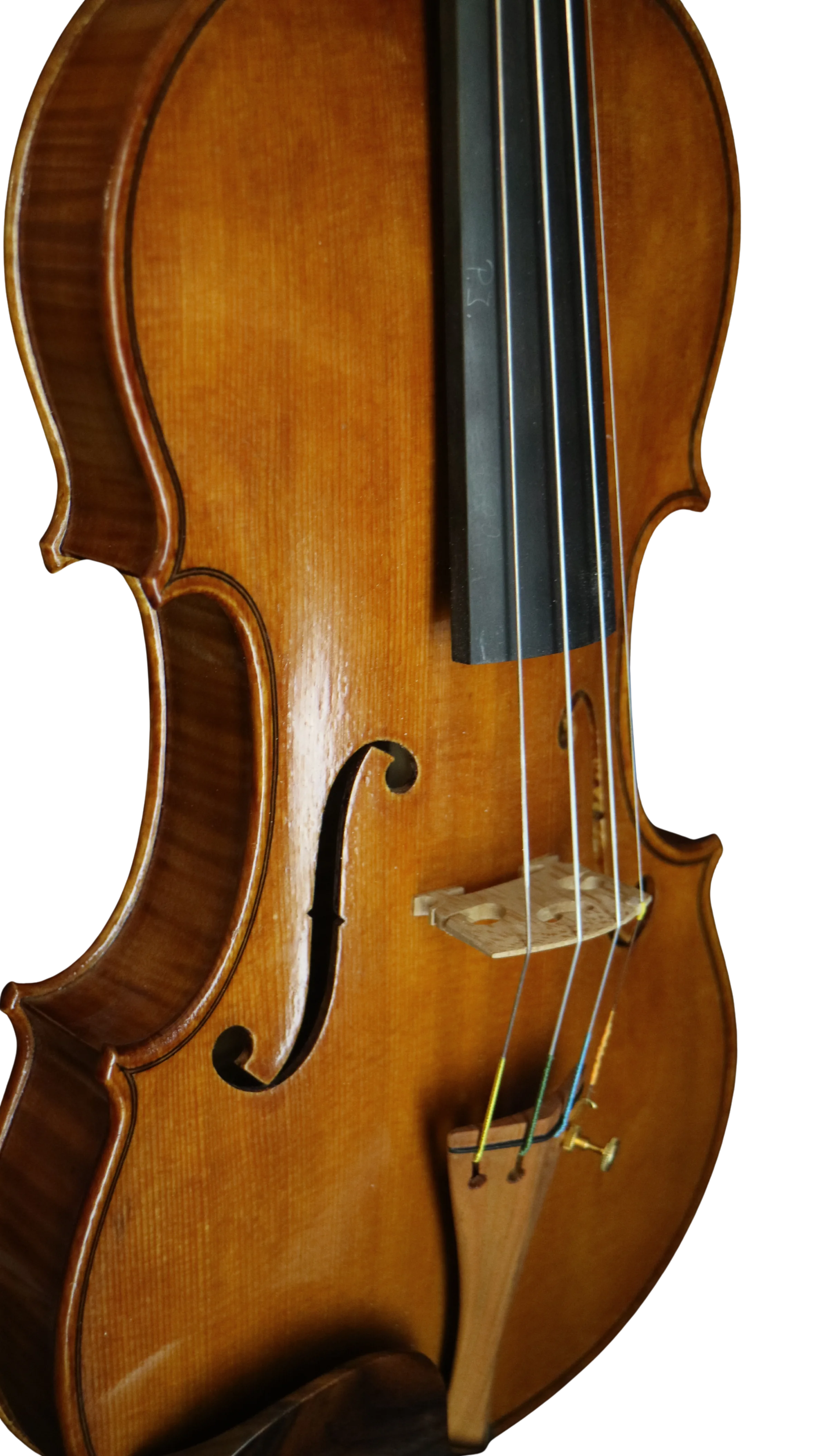 Violine Handarbeit aus Deutschlan