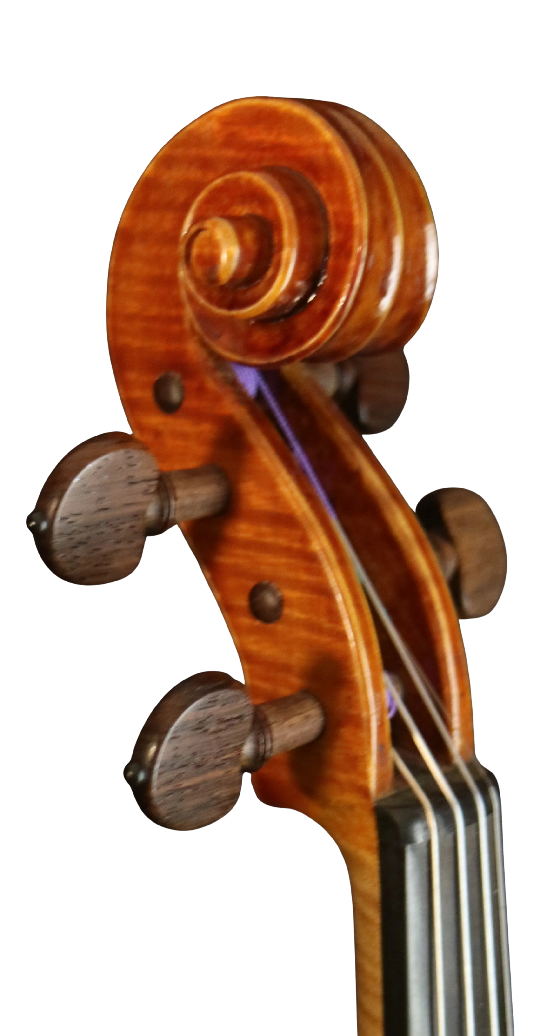 Violine Handarbeit aus Deutschlan