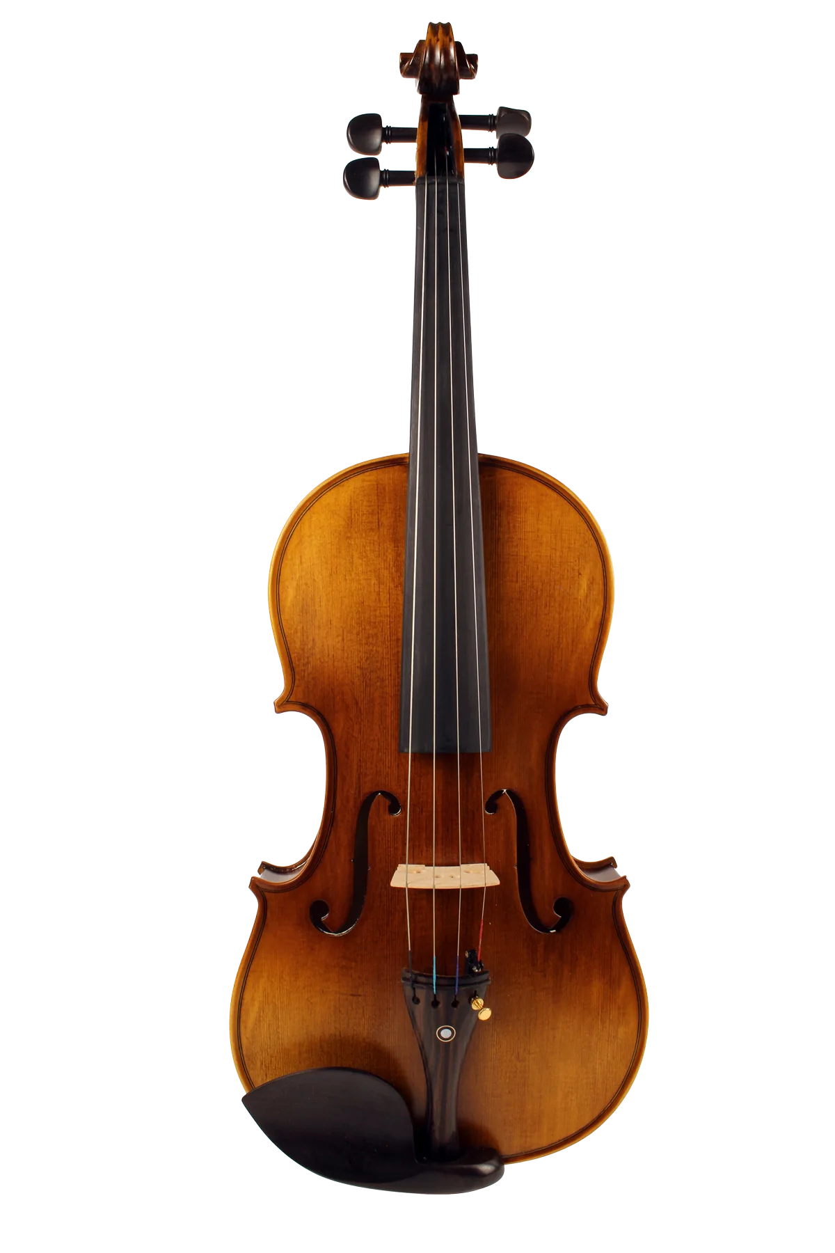 Violine Bolzano Sets