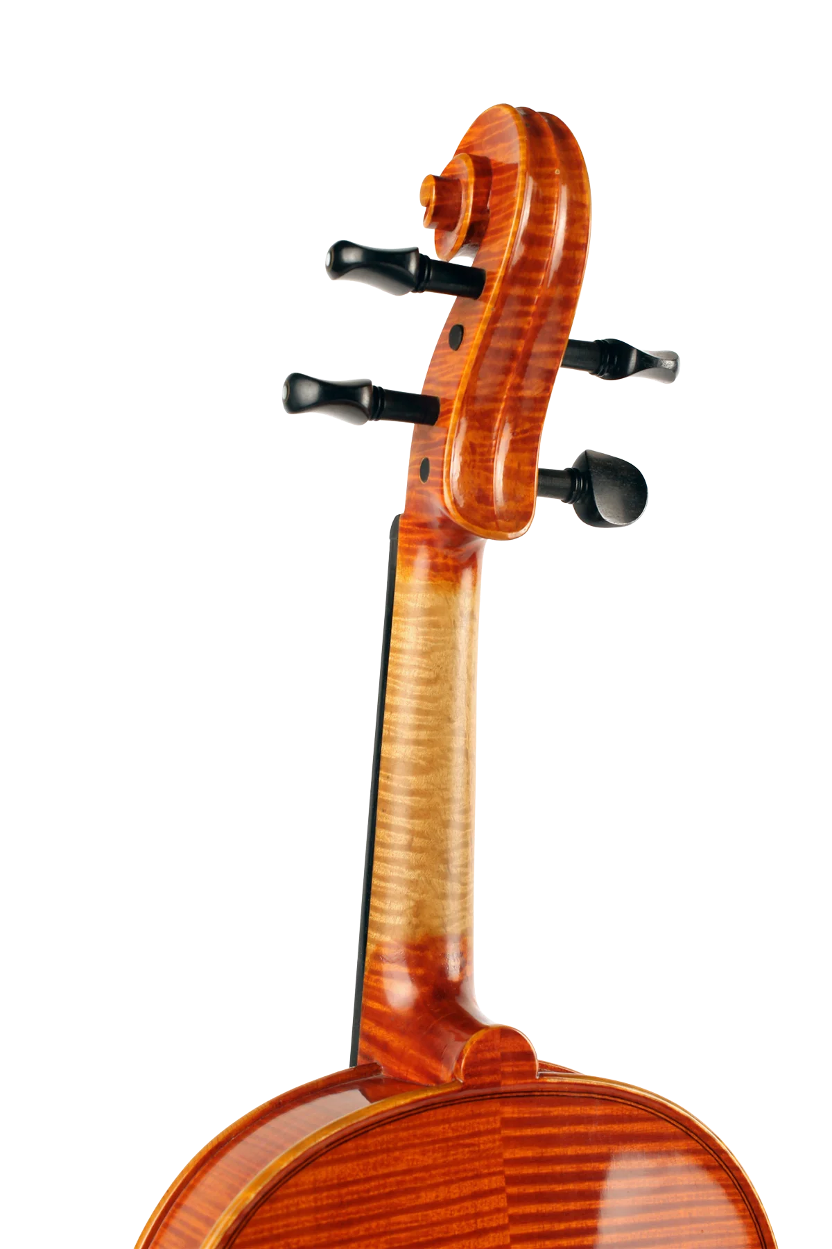 Violine Meister Sets