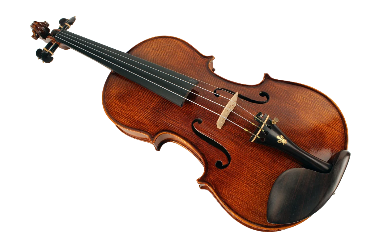 Violine Marino Sets