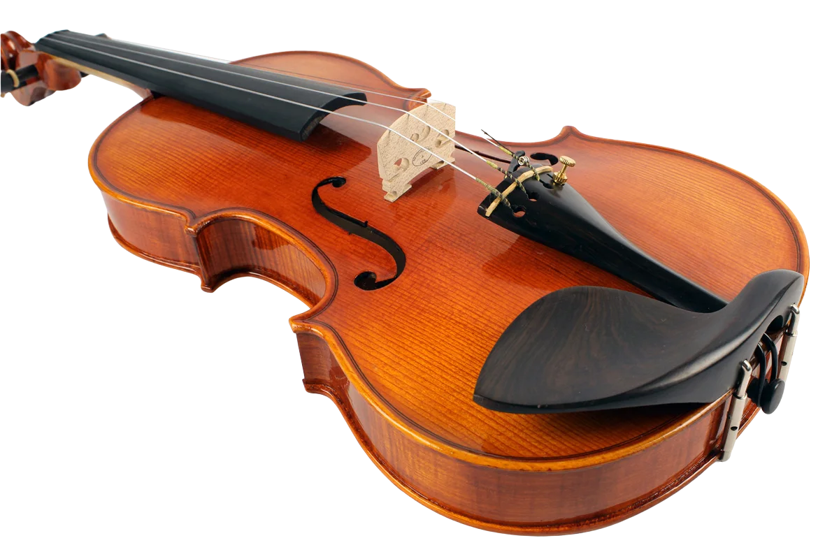 Violine Frascati Sets