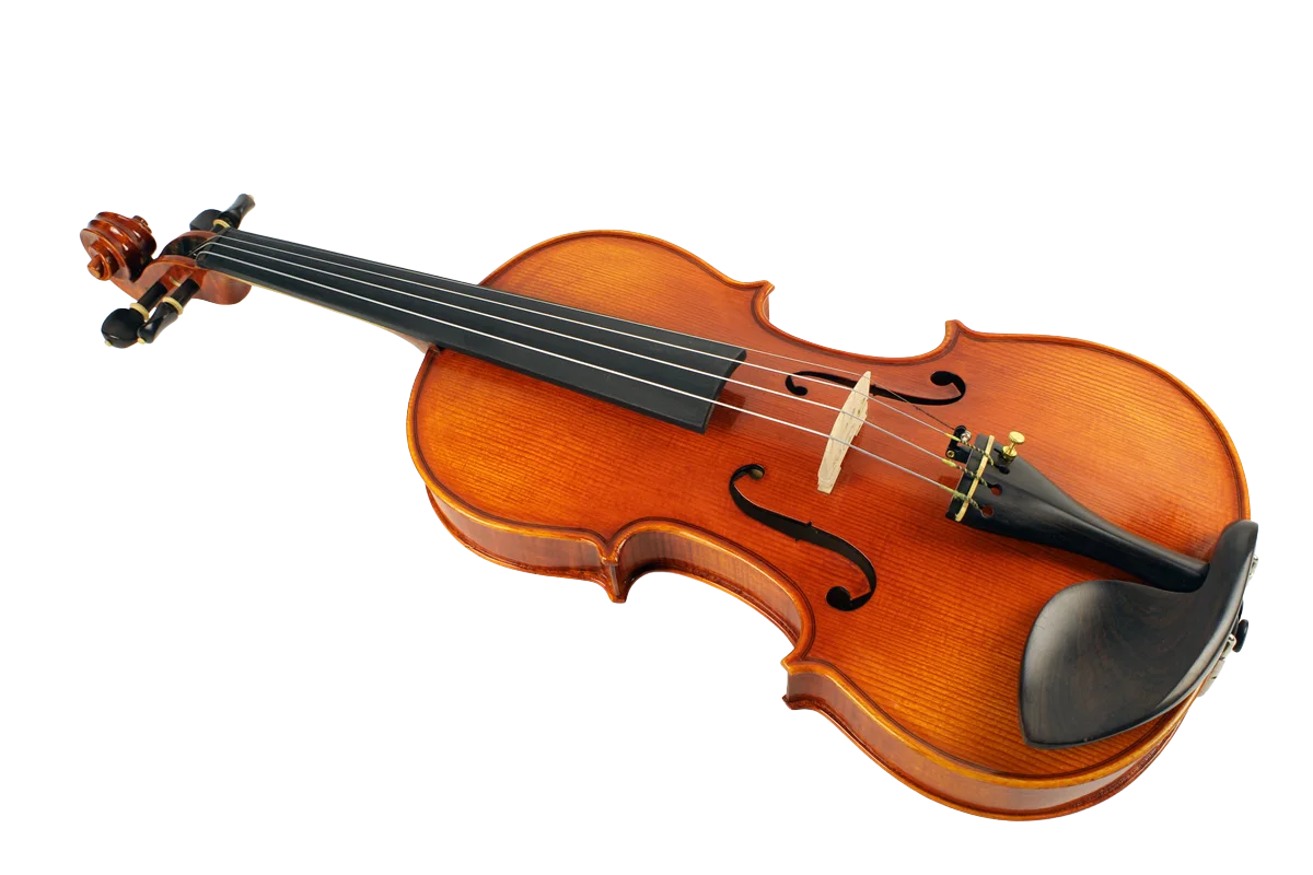Violine Frascati Sets