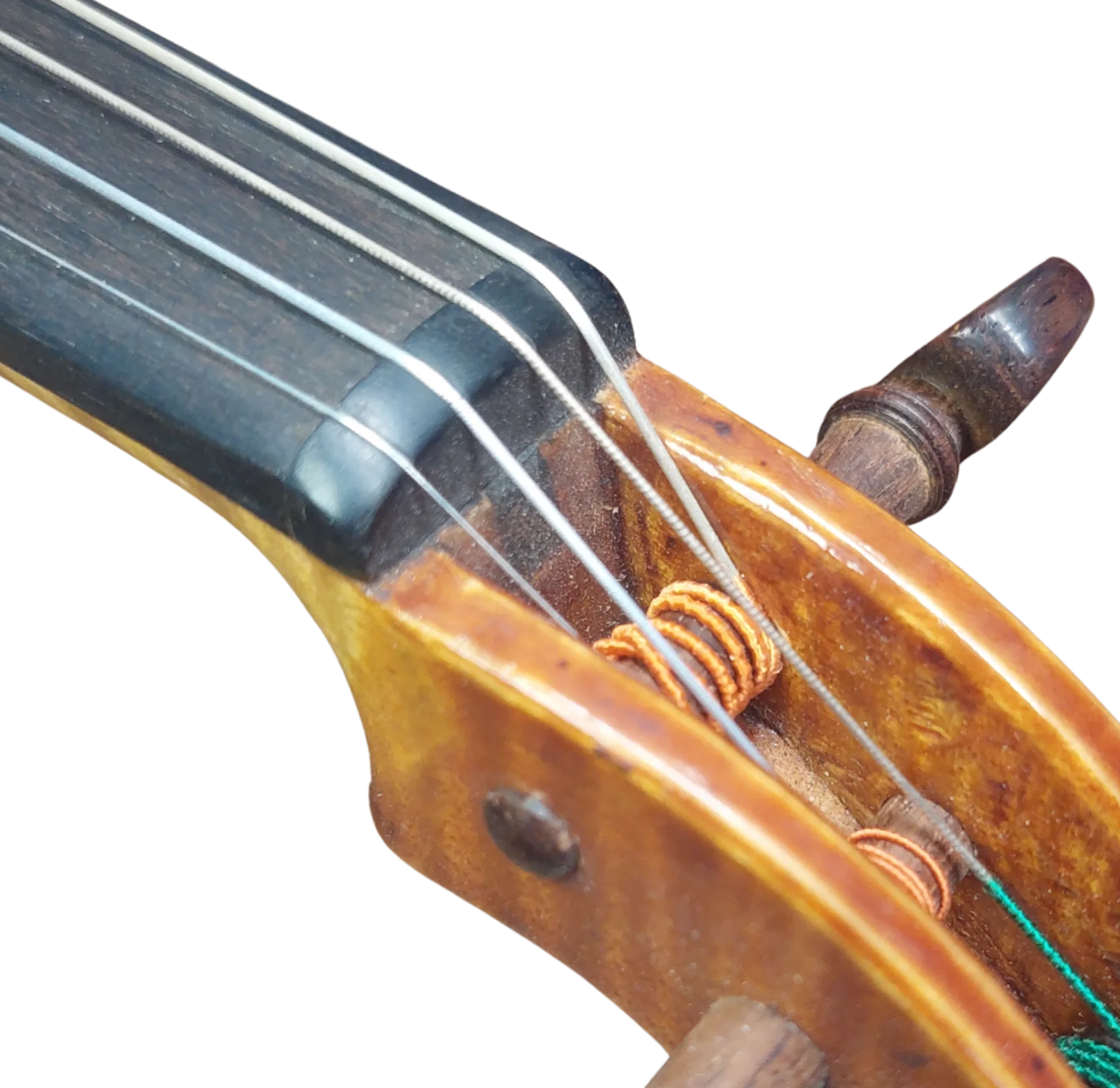 Obersattel Viola