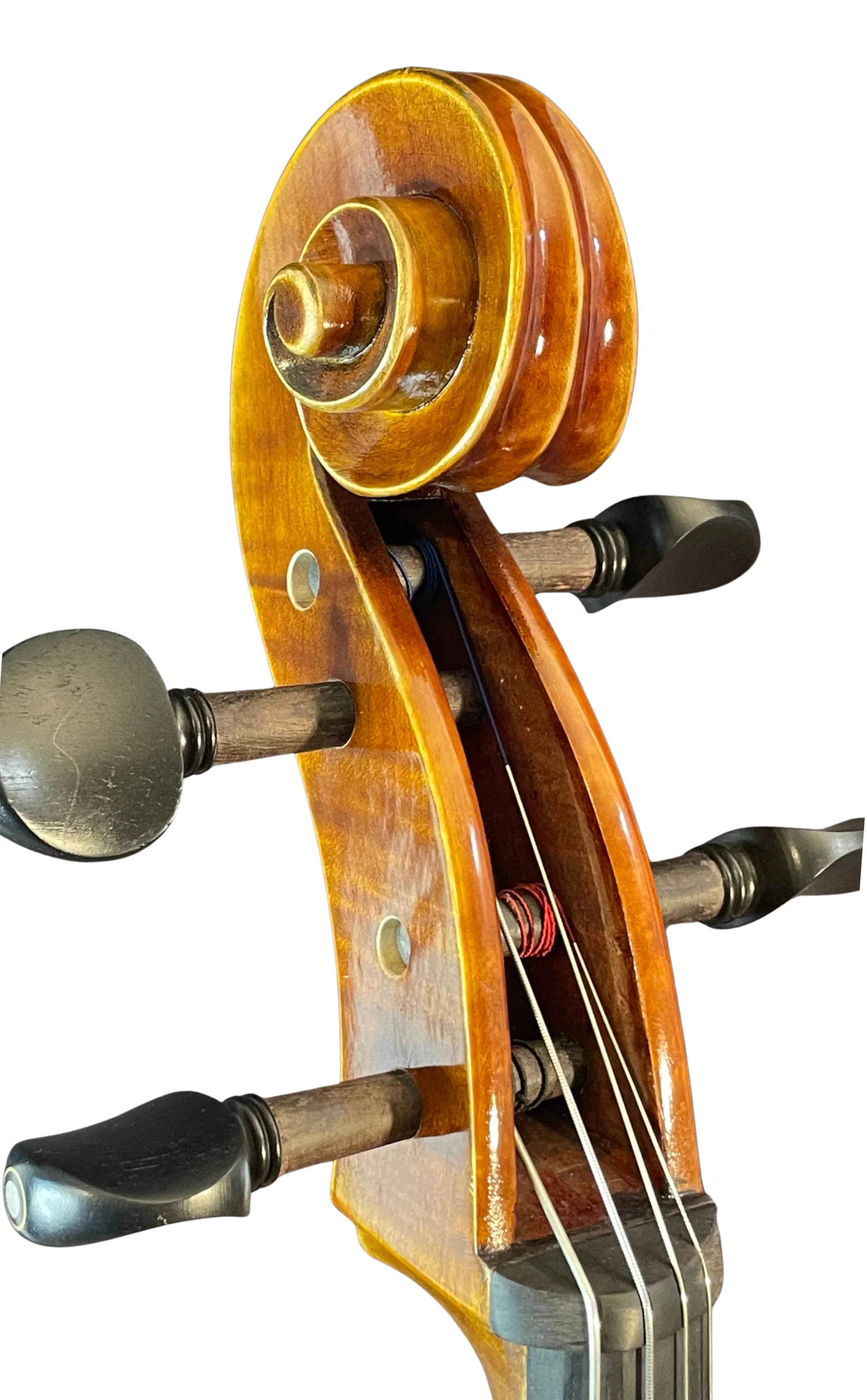Golden Cello
