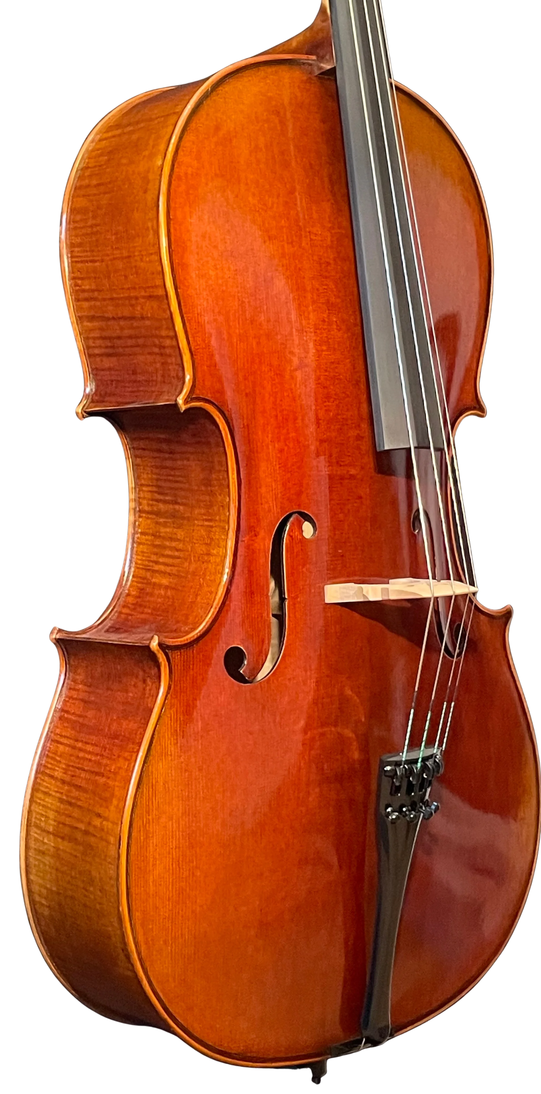 Golden Cello