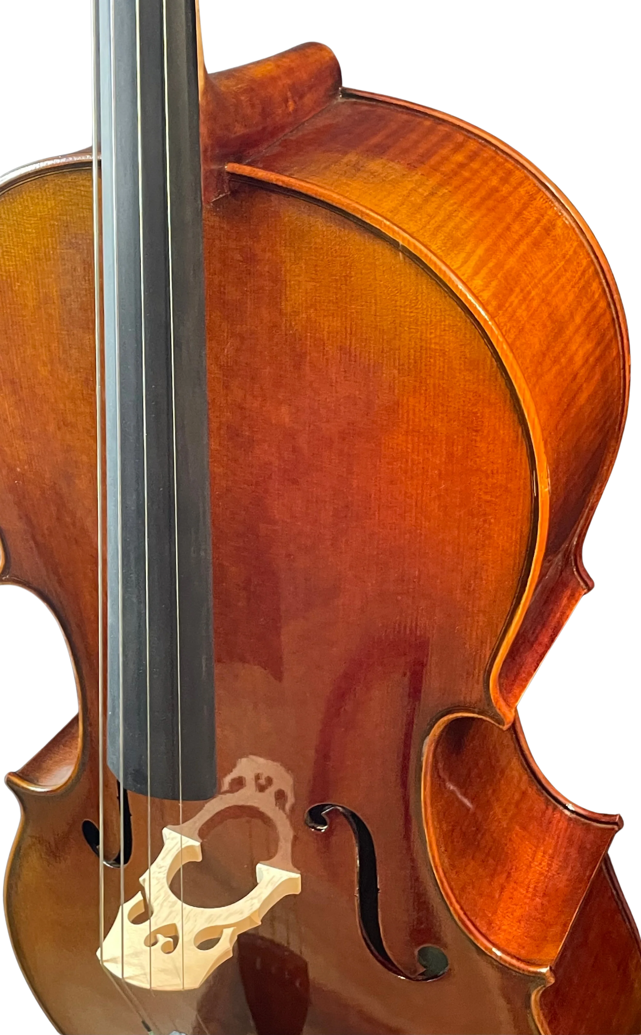 Golden Cello