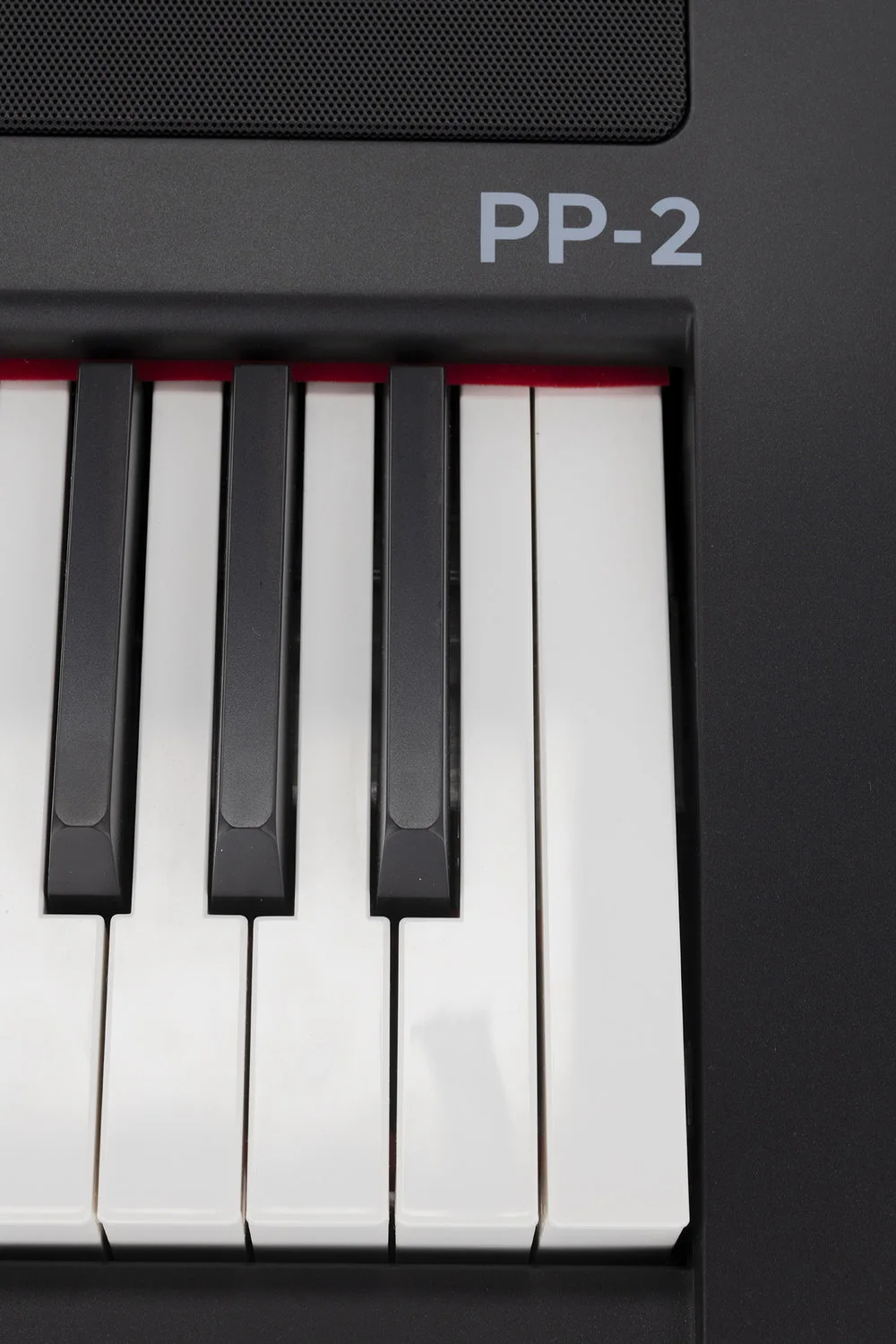 GEWA Portable Piano