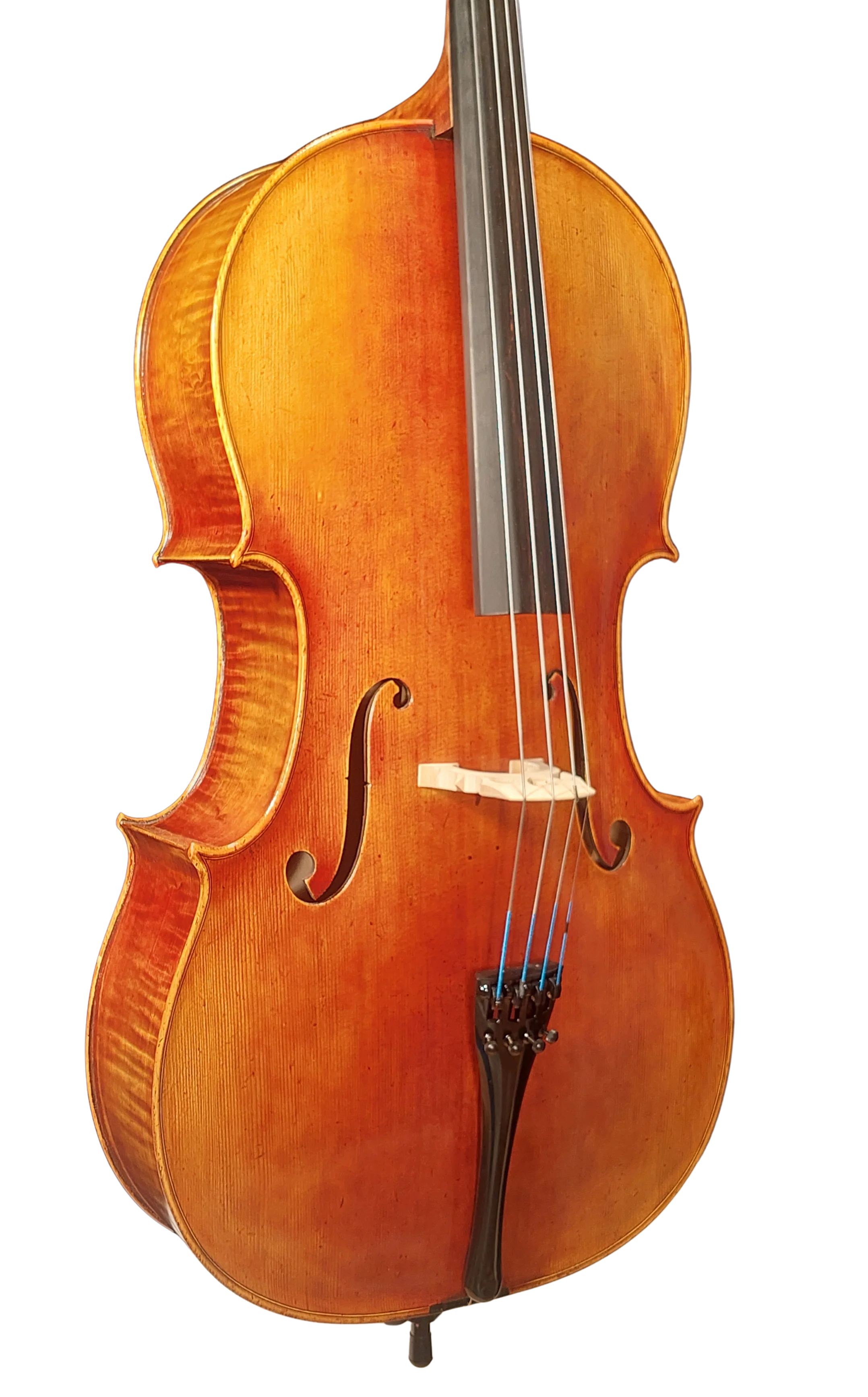 Golden Cello Antik-Lack