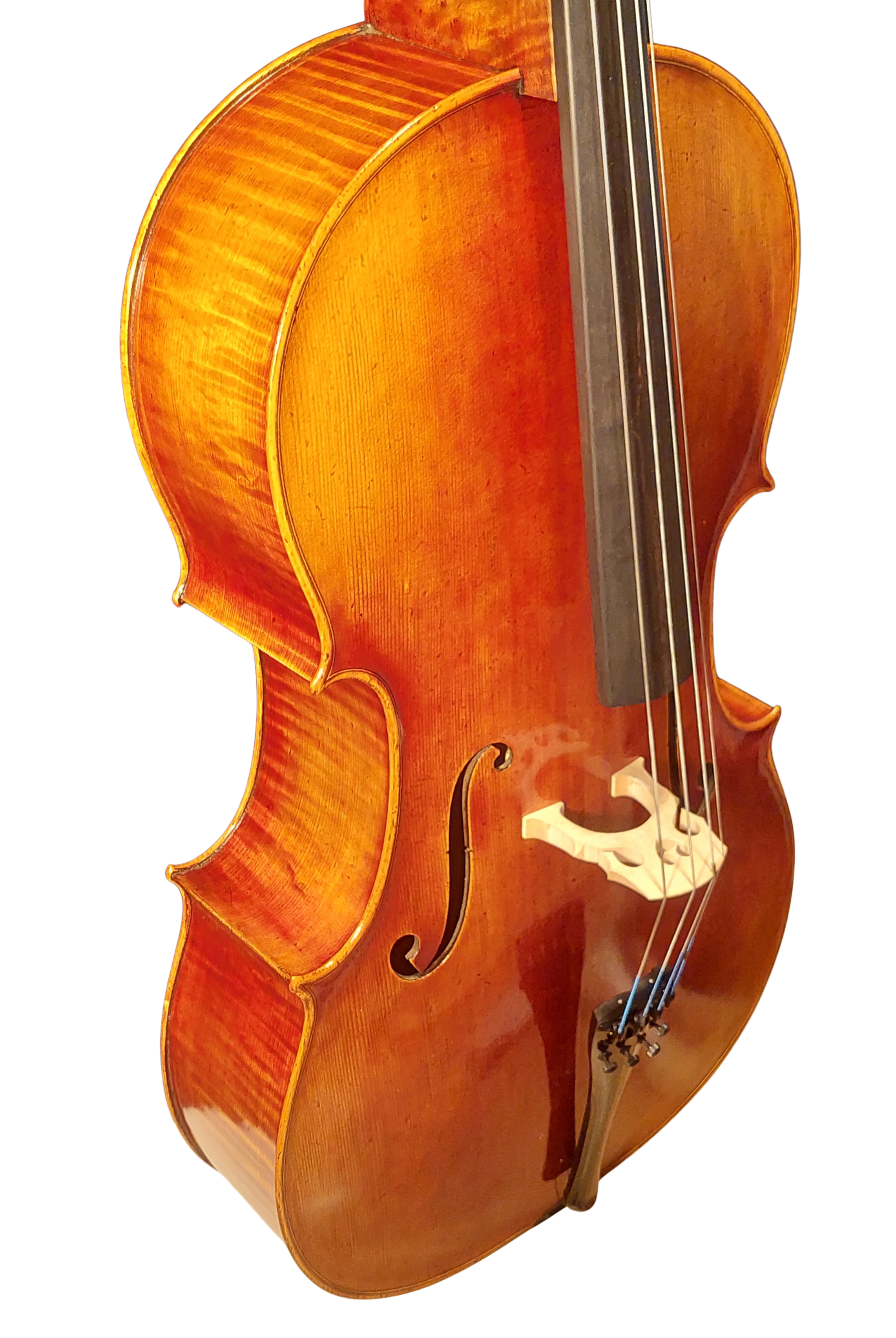 Golden Cello Antik-Lack