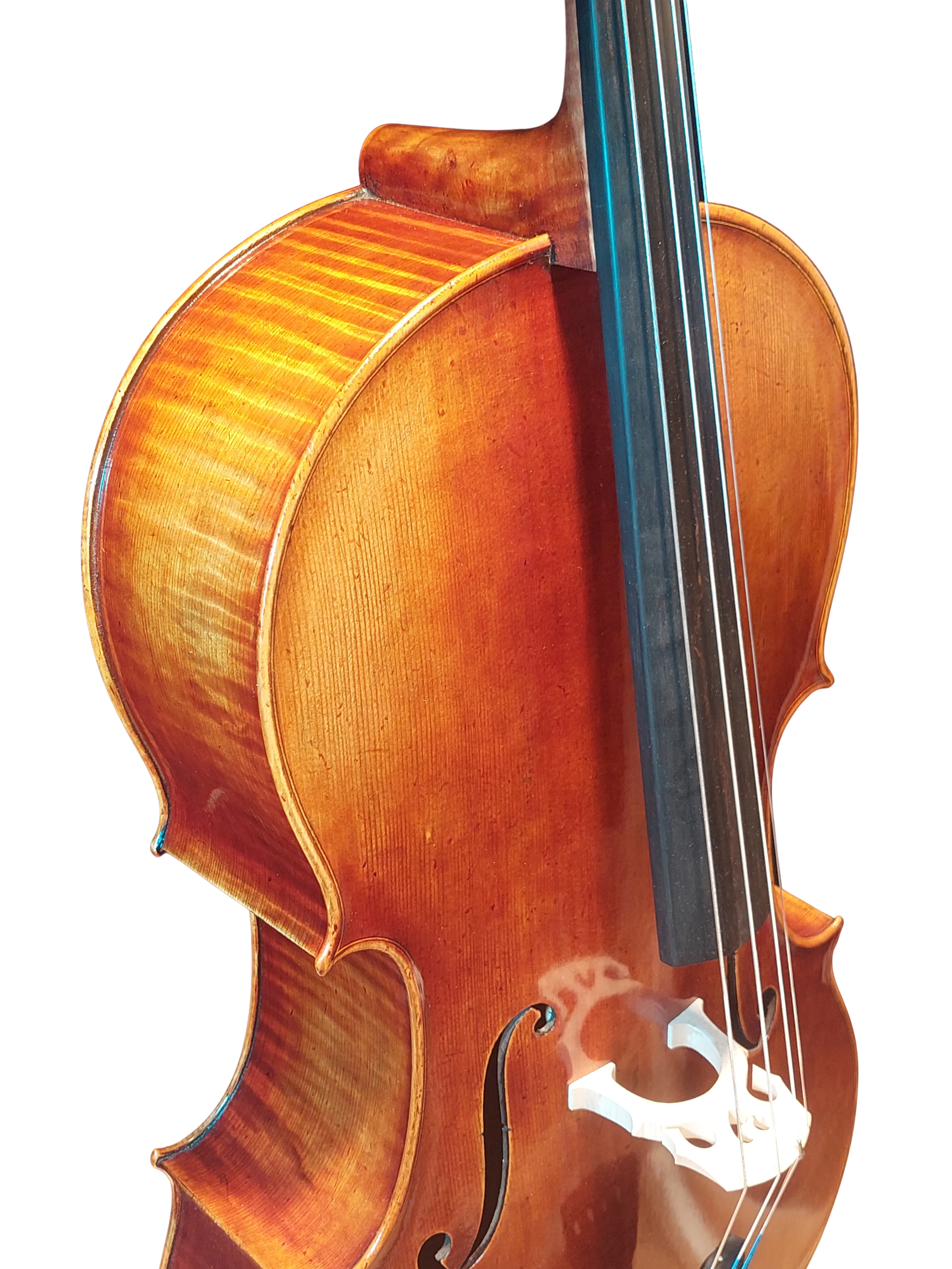 Golden Cello Antik-Lack