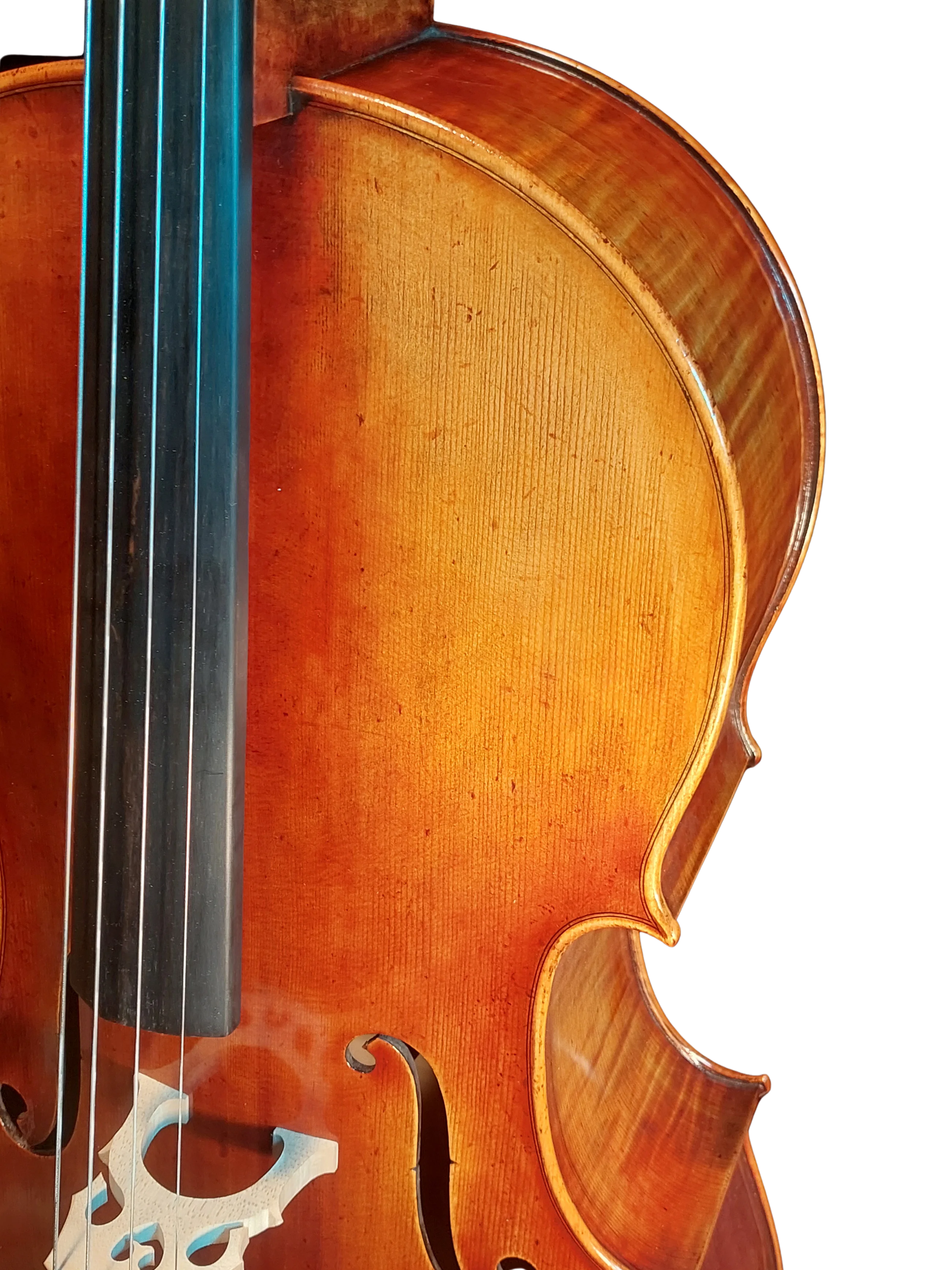 Golden Cello Antik-Lack