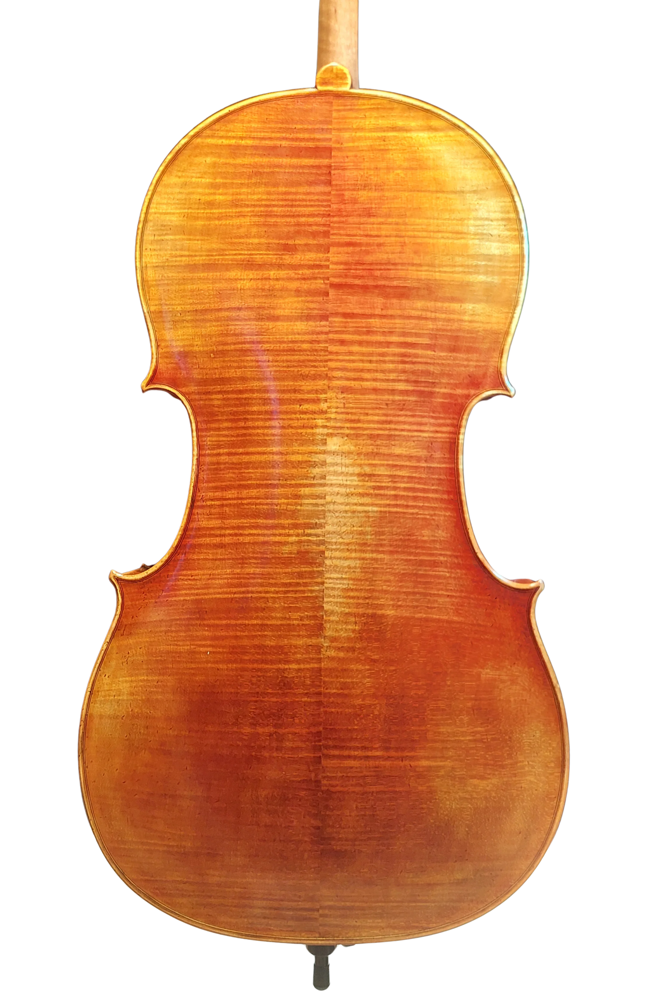 Golden Cello Antik-Lack