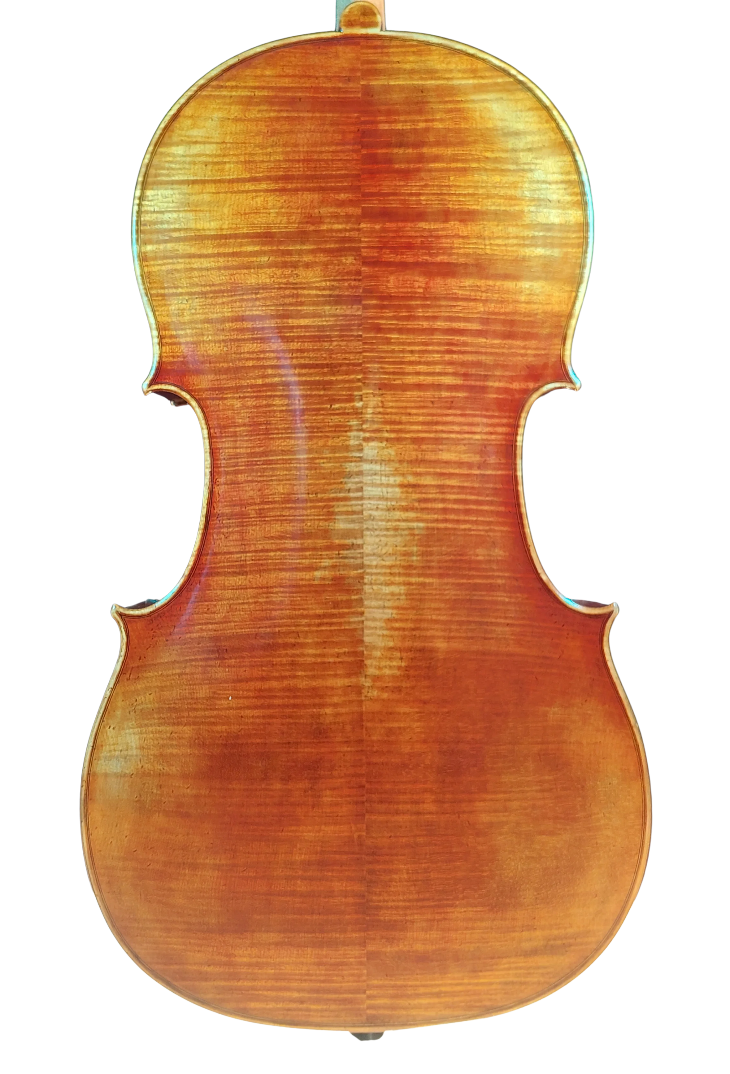 Golden Cello Antik-Lack